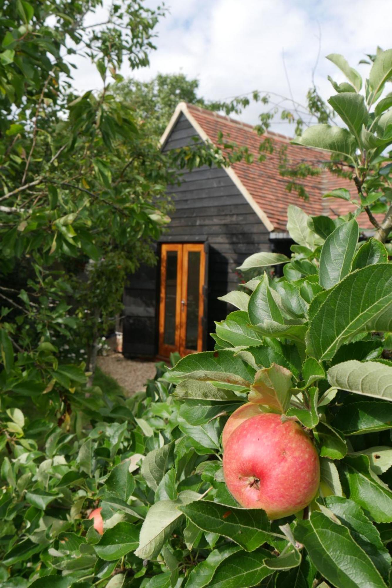 The Little Orchard Villa Watlington  Ngoại thất bức ảnh